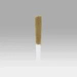 Apples & Bananas Sluggers 5 Pack - Cookies Dispensary