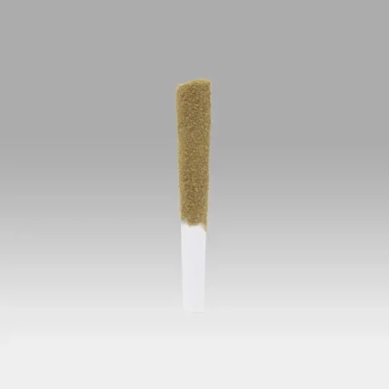 Apples & Bananas Sluggers 5 Pack - Cookies Dispensary