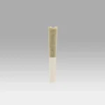 Biscotti x Sherb Pre Roll Pack - Cookies Dispensary