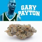 Gary Payton Strain