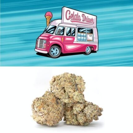 Gelato Driver Strain