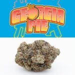 Georgia Pie Strain