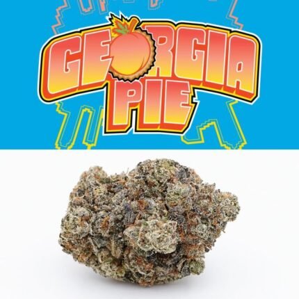 Georgia Pie Strain