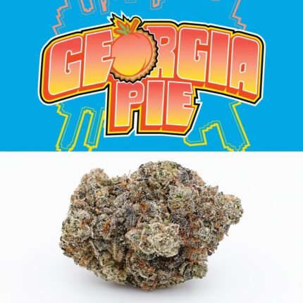 Georgia Pie Strain