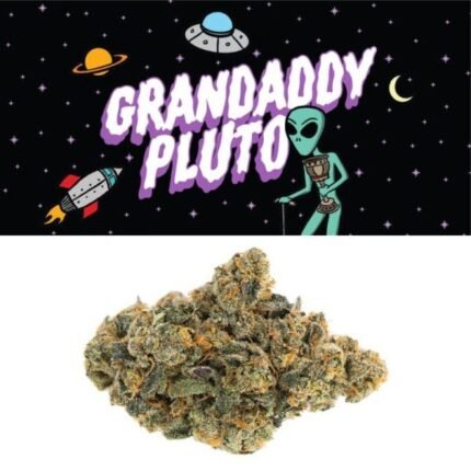 Granddaddy Pluto Strain