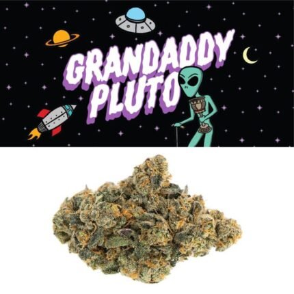 Granddaddy Pluto Strain