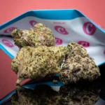 Melted Sherb Strain | Cookies x Traditional