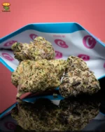 Melted Sherb Strain | Cookies x Traditional