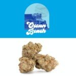 Ocean Beach Strain