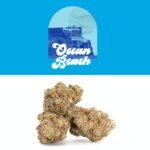 Ocean Beach Strain