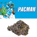 Pacman Strain - Cookies Dispensary