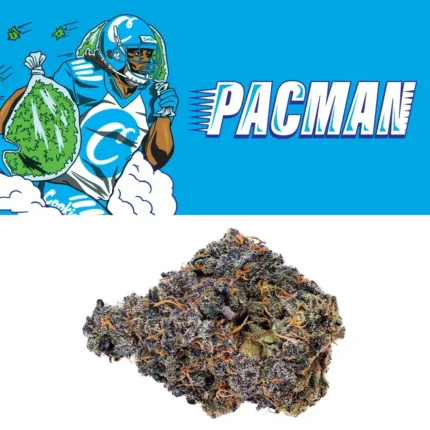 Pacman Strain - Cookies Dispensary