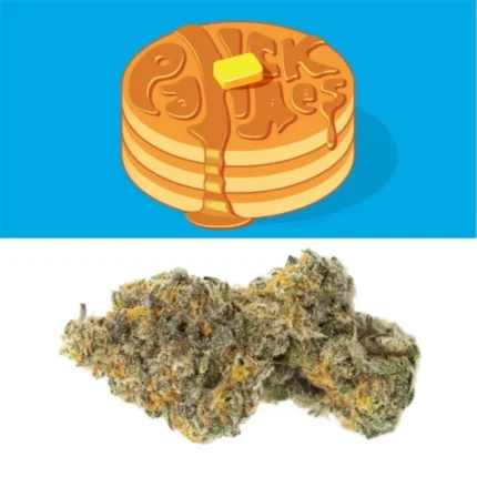 Pancakes Strain - Cookies Dispensary
