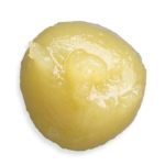 Sour Animal Black Label Live Rosin | 1g - Cookies Dispensary