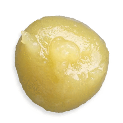 Sour Animal Black Label Live Rosin | 1g - Cookies Dispensary