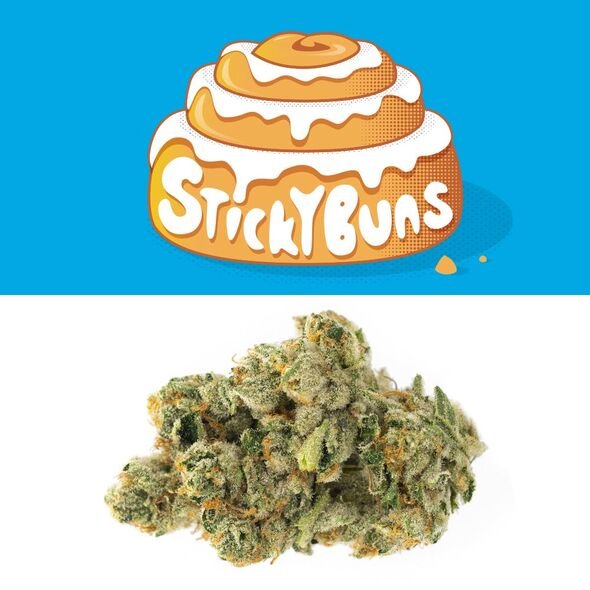 Sticky Buns Strain Sticky Buns Strain