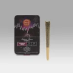 Strawnana Infused Pre Roll Pack - Cookies Dispensary