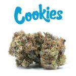 White Russian Strain