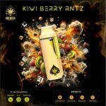 ACE KIWI BERRY RNTZ - Ace Ultra Premium