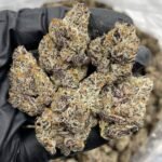 Biscotti Pancakes Strain - Ace Ultra Premium