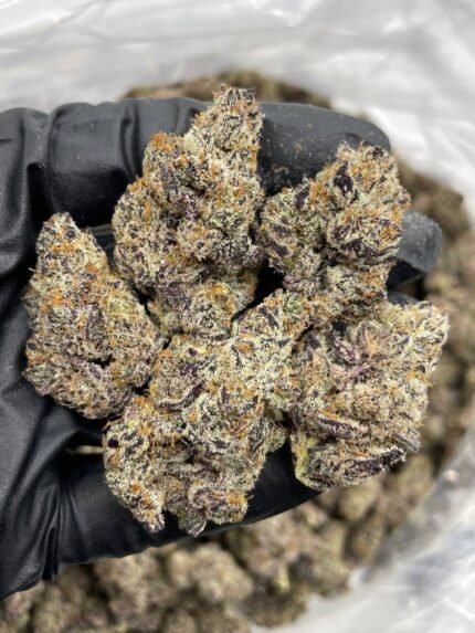 Biscotti Pancakes Strain - Ace Ultra Premium