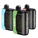 G - Wiz GX 25K Disposable - From The Makers of Geek Bar