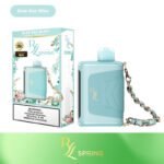 RAZ RYL 35K Disposable