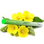 Herbal Diffuser Pen, Lung Cleanse Diffuser with Mullein, Thyme & Mint for Better Breathing, All Natural Swap - 600 Uses, 1 Diffuser, 1 Pack