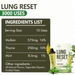 Lung Detox Rechargeable Mullein Diffuser Pen | Natural Mullein Leaf | Lung Health & Detox | Herbal Mullein Diffuser Pen 3000 Uses