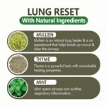 Lung Detox Rechargeable Mullein Diffuser Pen | Natural Mullein Leaf | Lung Health & Detox | Herbal Mullein Diffuser Pen 3000 Uses