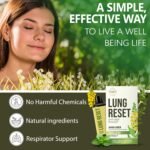 Lung Detox Rechargeable Mullein Diffuser Pen | Natural Mullein Leaf | Lung Health & Detox | Herbal Mullein Diffuser Pen 3000 Uses